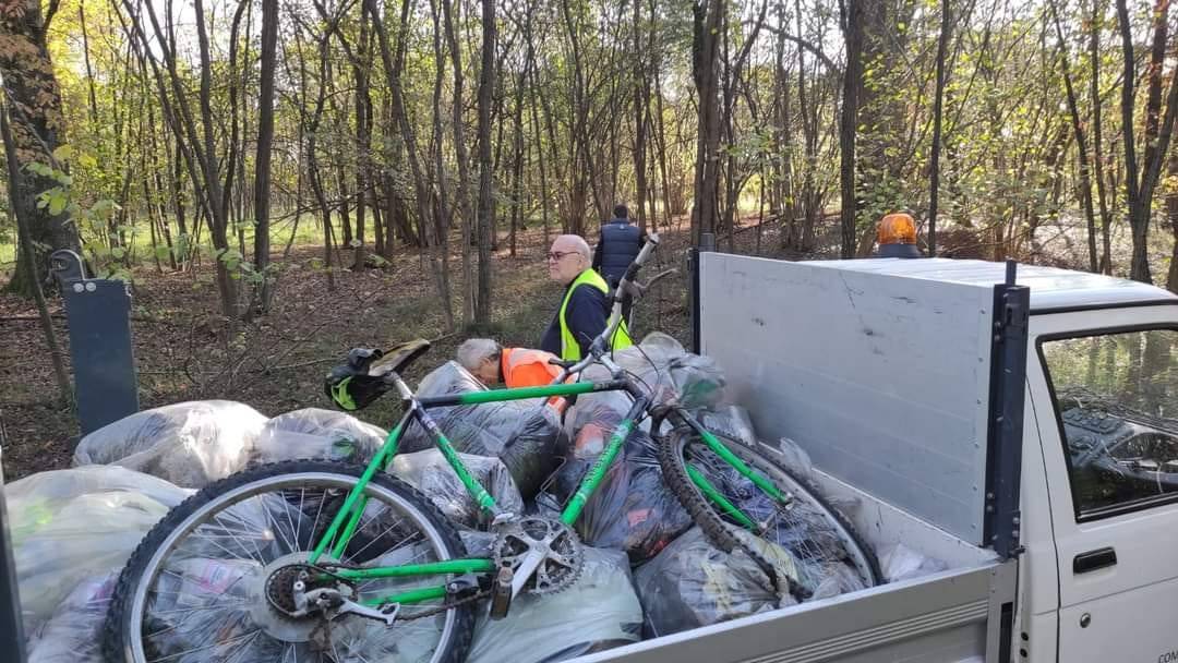 Volontari all'opera per pulire i boschi di Cislago: riempito un container carico di rifiuti