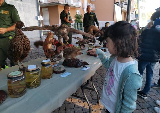 2022, Un anno in mezzo alla natura con le GEV 