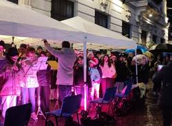 A Gallarate si accendono le luminarie e l'albero di Natale