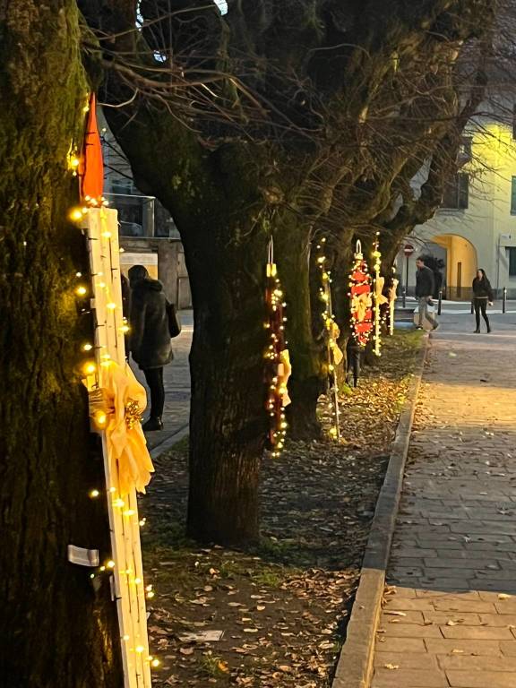 Addobbi Mezzana e Lazzaretto