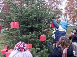 alberi di natale bosco della pace rescaldina