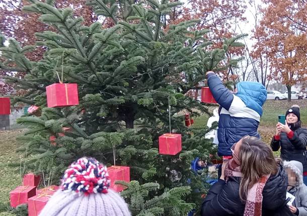 alberi di natale bosco della pace rescaldina