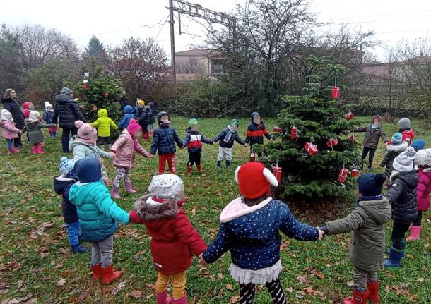 alberi di natale bosco della pace rescaldina