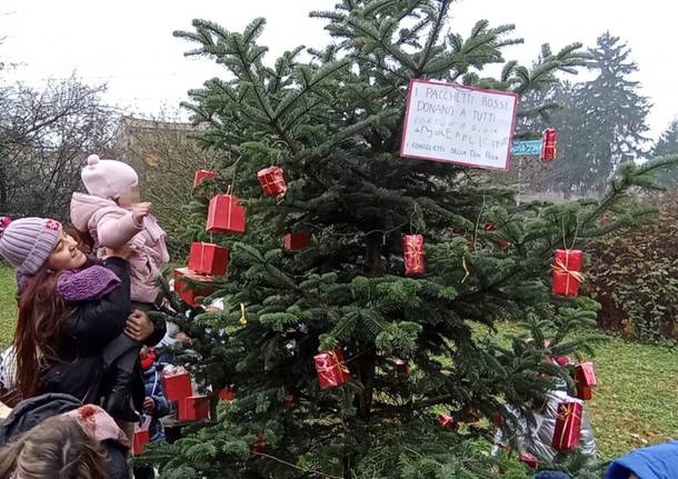 alberi di natale bosco della pace rescaldina