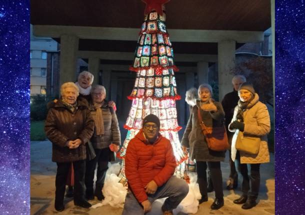 albero uncinetto angera