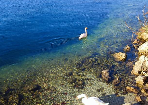 Aria di Natale sulla riva del Lago Maggiore a Caldè