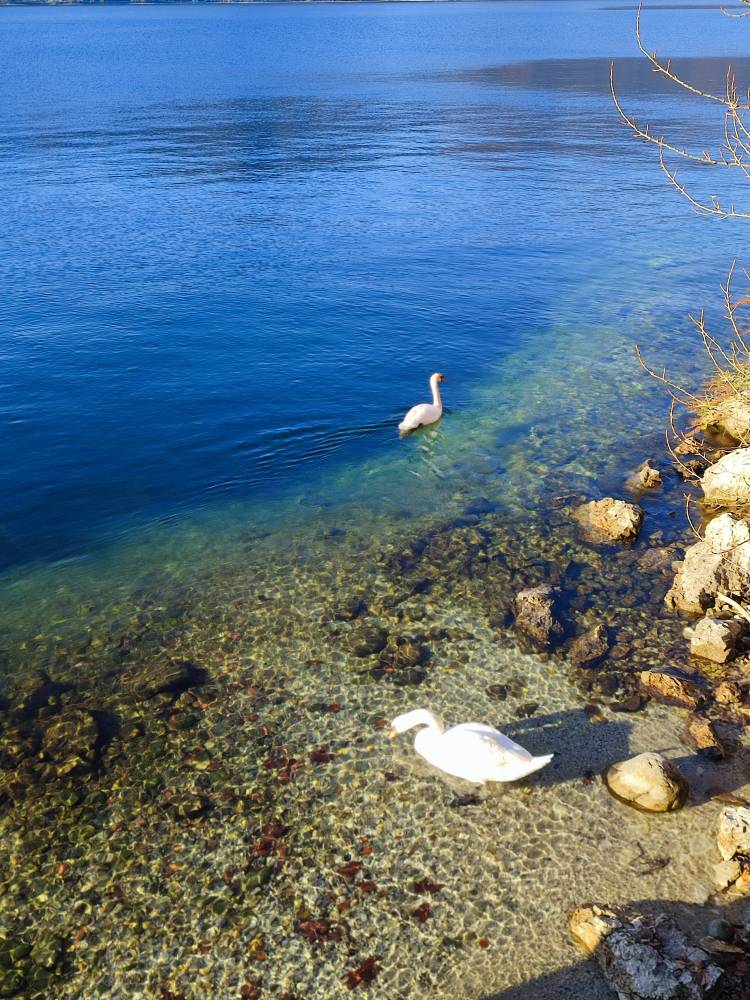 Aria di Natale sulla riva del Lago Maggiore a Caldè