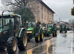 La festa del Ringraziamento di Monvalle