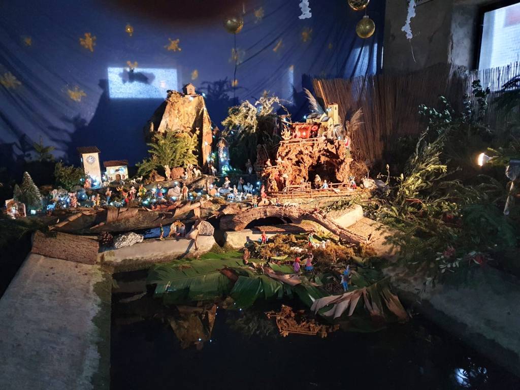 Duno si fa bella coi rametti di pino natalizi