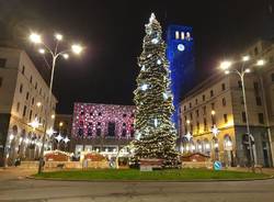 Fito-Consult - Albero di Natale
