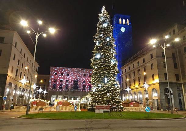 Fito-Consult - Albero di Natale