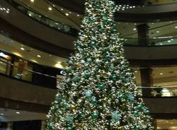 Fito-Consult - Albero di Natale