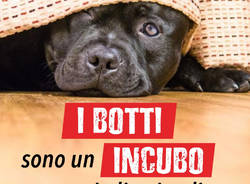 Generico 12 Dec 2022