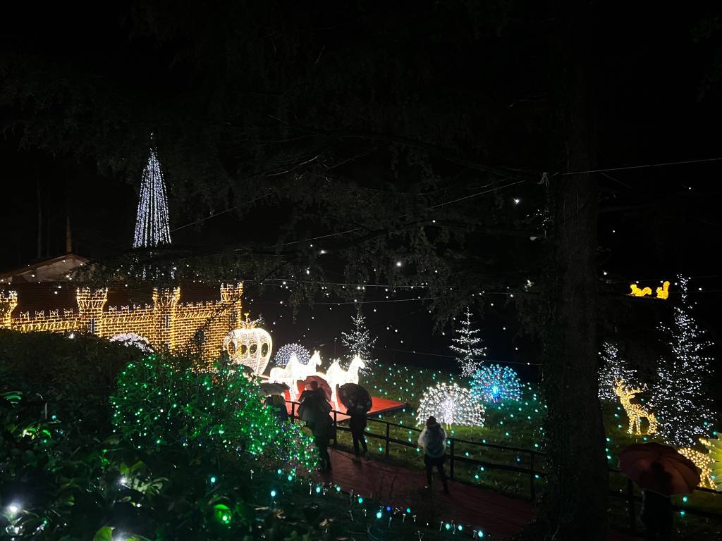 L’inaugurazione delle Lucine di Natale di Leggiuno 