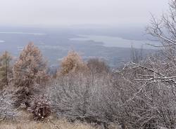 La prima neve al Parco del Campo dei Fiori 