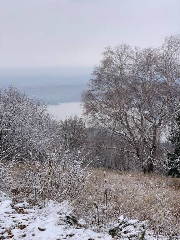 La prima neve al Parco del Campo dei Fiori 