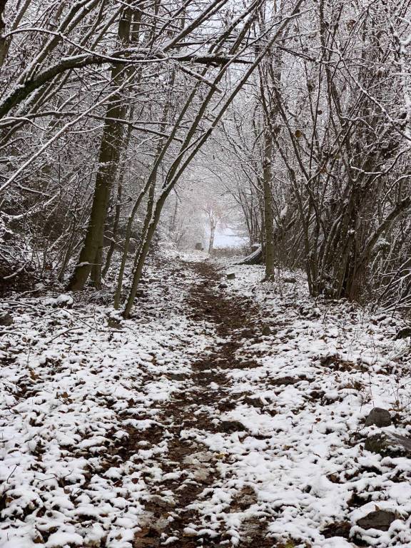 La prima neve al Parco del Campo dei Fiori 