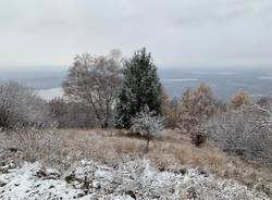 La prima neve al Parco del Campo dei Fiori 