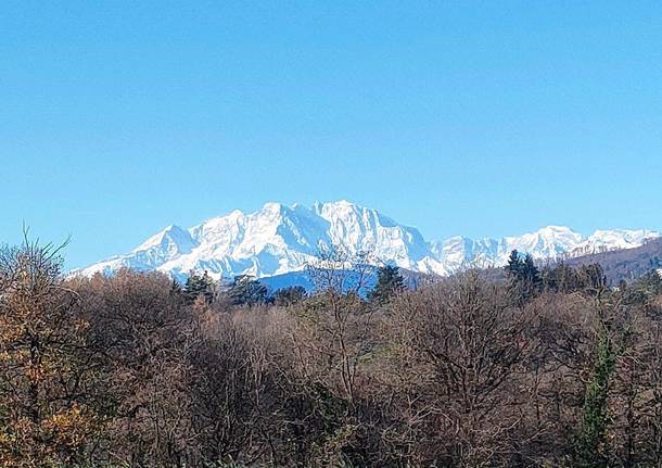 Monte Rosa