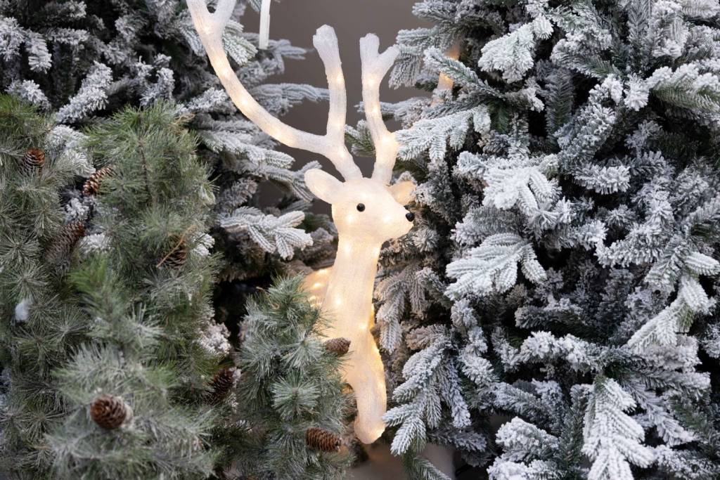 Nicora Garden - Iniziano i saldi nel Paese del Natale