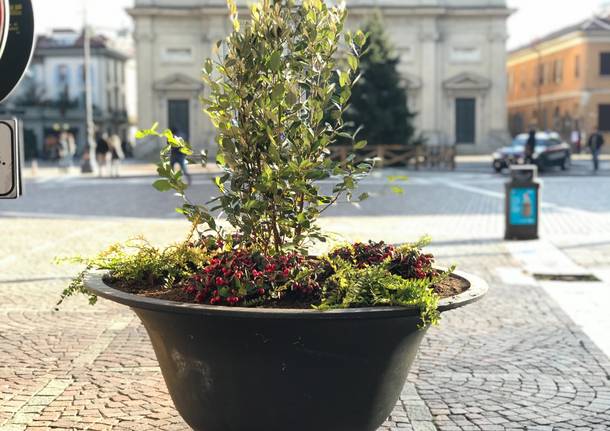 Nuove fioriere in centro a Saronno. Piante legate per evitare furti 