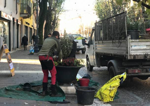 Il Comune di Saronno rinnova le fioriere in centro città. Piante legate per evitare furti