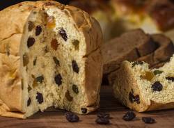 panettone