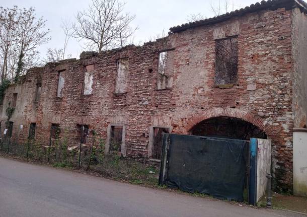 taglio piante cascina dei poveri busto arsizio