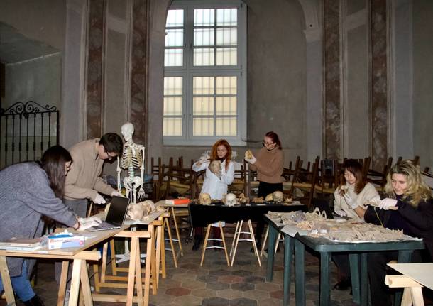 università insubria