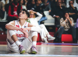 basket