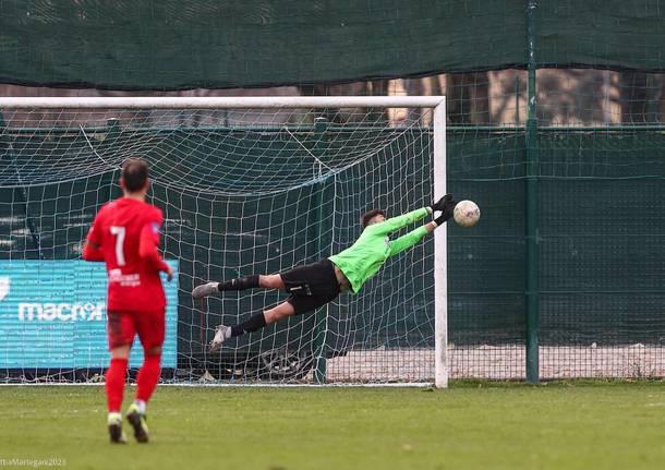 calcio giana erminio varese