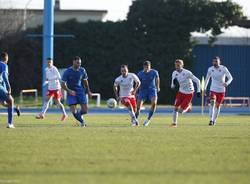 calcio varese seregno