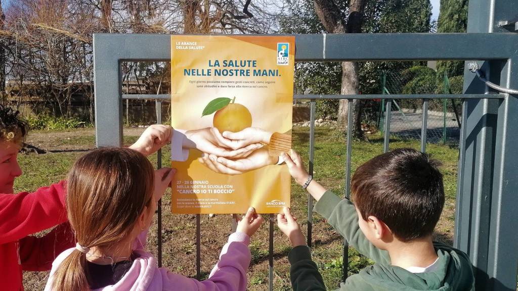cancro io ti boccio