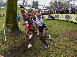 Cross Campaccio a San Giorgio su Legnano - credit Roberta Corradin