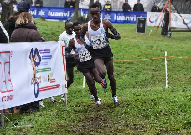 Cross Campaccio a San Giorgio su Legnano – credit Roberta Corradin