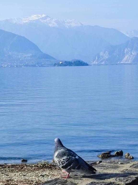 Da Cerro di Laveno si intravedono le isole Borromee