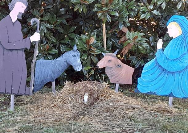 furto Gesù bambino presepe cantello