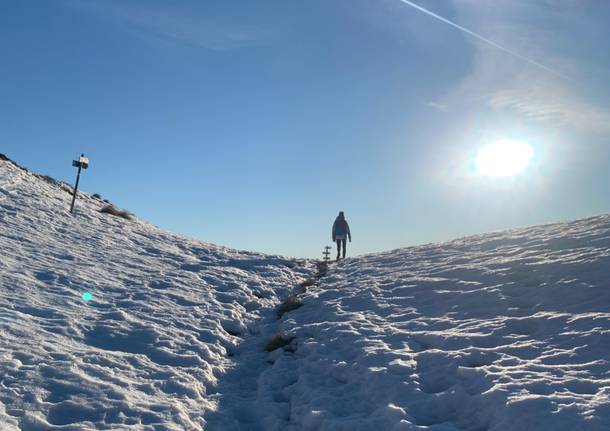 neve passo forcora