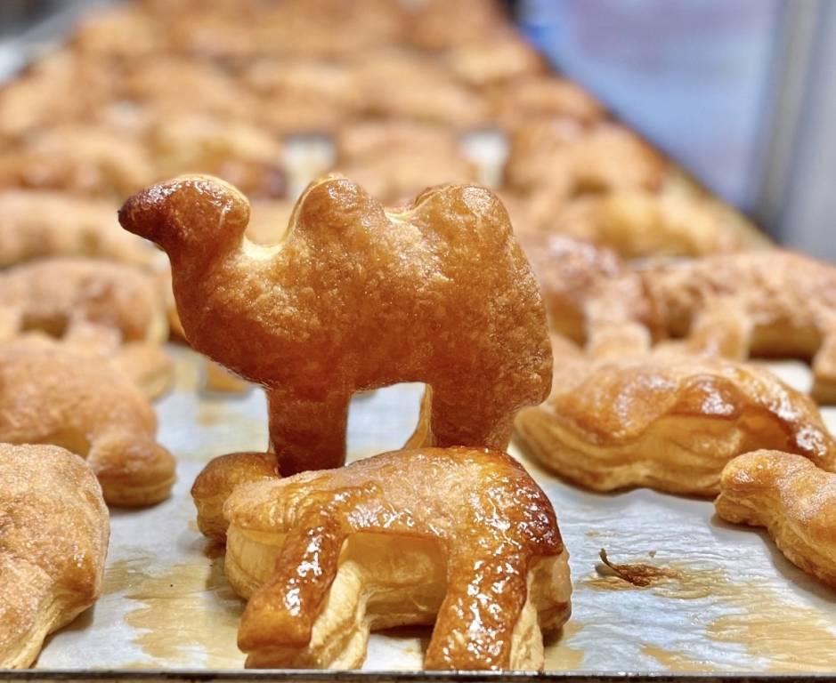 Il cammello di pasta sfoglia della pasticceria Dolcezze