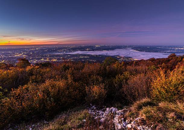 Insubriparks. La presentazione del progetto il 25 gennaio a Palazzo Pirelli