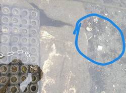 La barca rubata a Sesto Calende