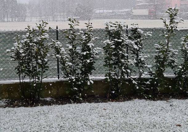 neve cugliate 17 gennaio 2023