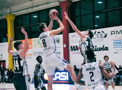 riccardo antonelli basket gallarate