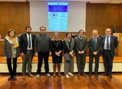 università insubria