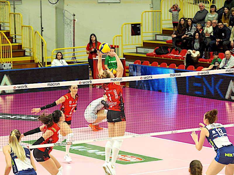 Uyba - Bisonte Firenze