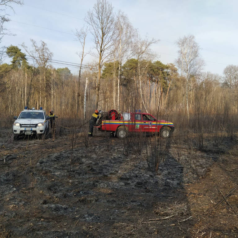 Bruciano 9 ettari di bosco tra Misinto e Cogliate