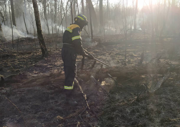 Bruciano 9 ettari di bosco tra Misinto e Cogliate