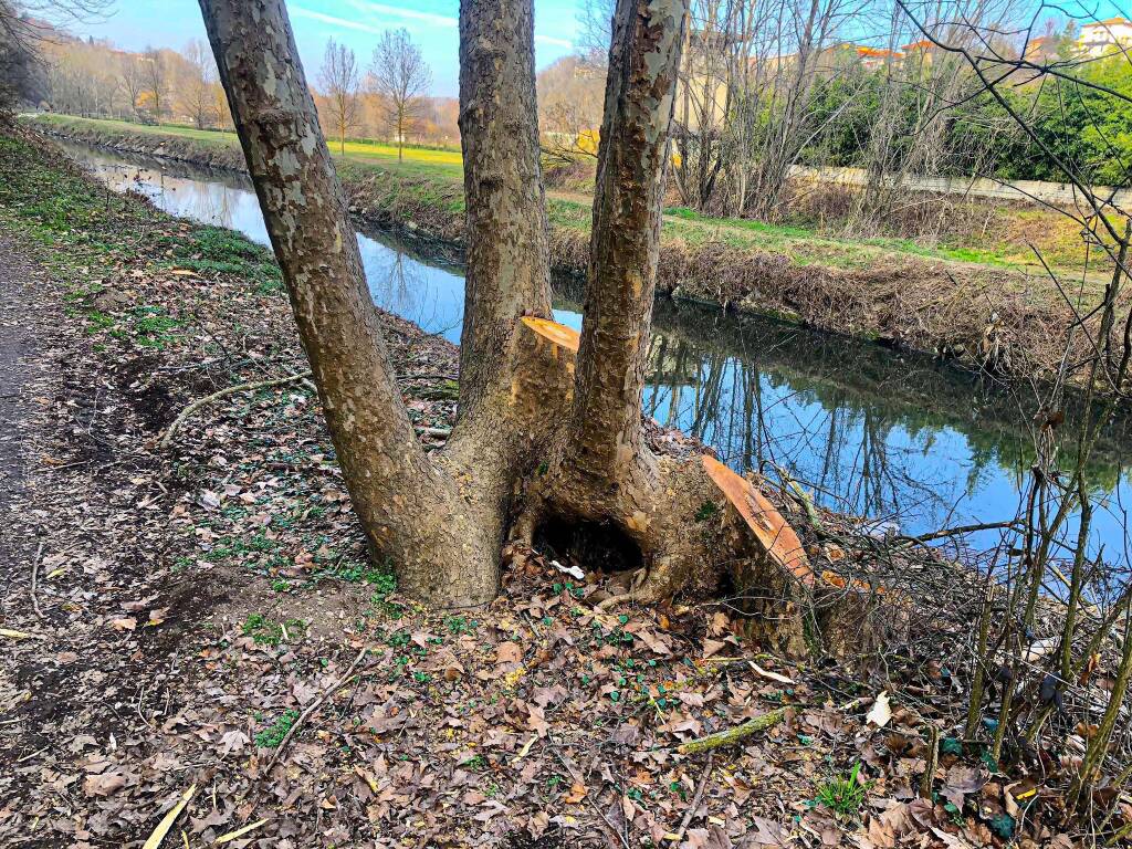 Brumana “guardia ecologica” in mountainbike
