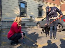 cane antridroga Gallarate