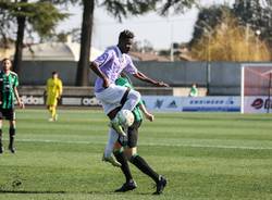 Castellanzese - Legnano 0-3, a cura di Roberta Corradin